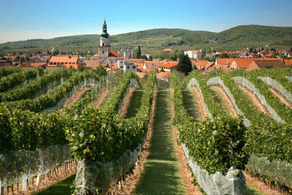 Small Carpathian Wine Road