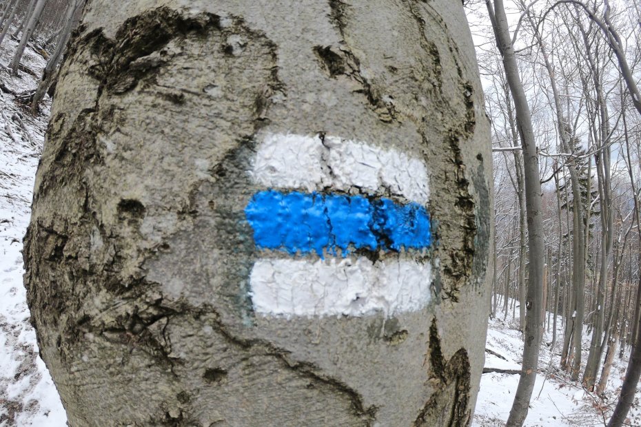 How are Slovakia Hiking Trails Marked