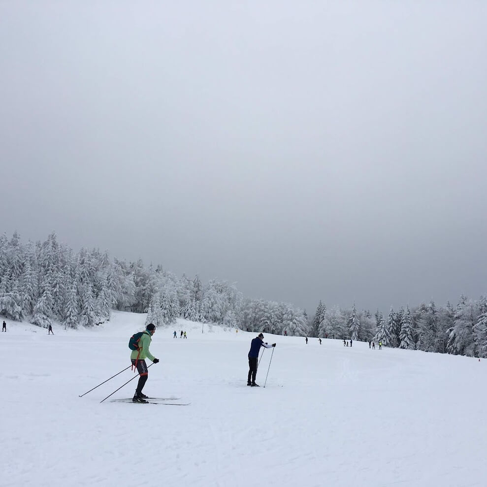 Skiers gliding across a snow-covered landscape in the Kremnica Mountains, surrounded by frost-covered trees