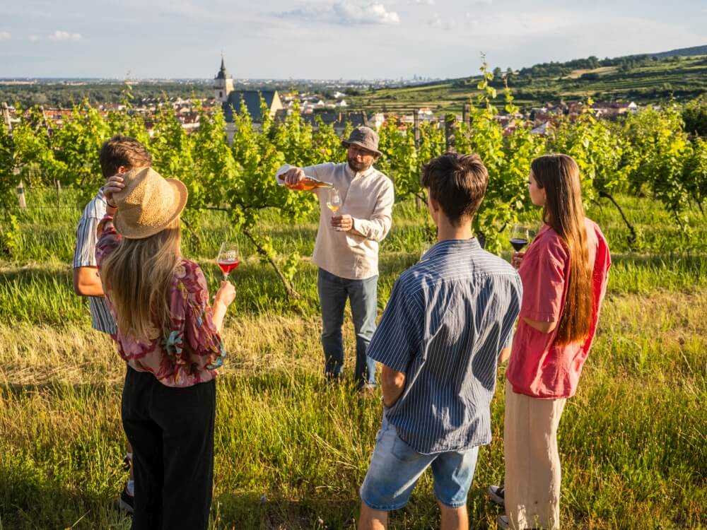 A group of people enjoying a wine-tasting experience in a lush vineyard near Bratislava. The vineyard guide is pouring wine as the guests, dressed casually, hold glasses of red and white wine. The scenic view of the vineyard and the town in the background creates a perfect incentive nature getaway in Bratislava.
