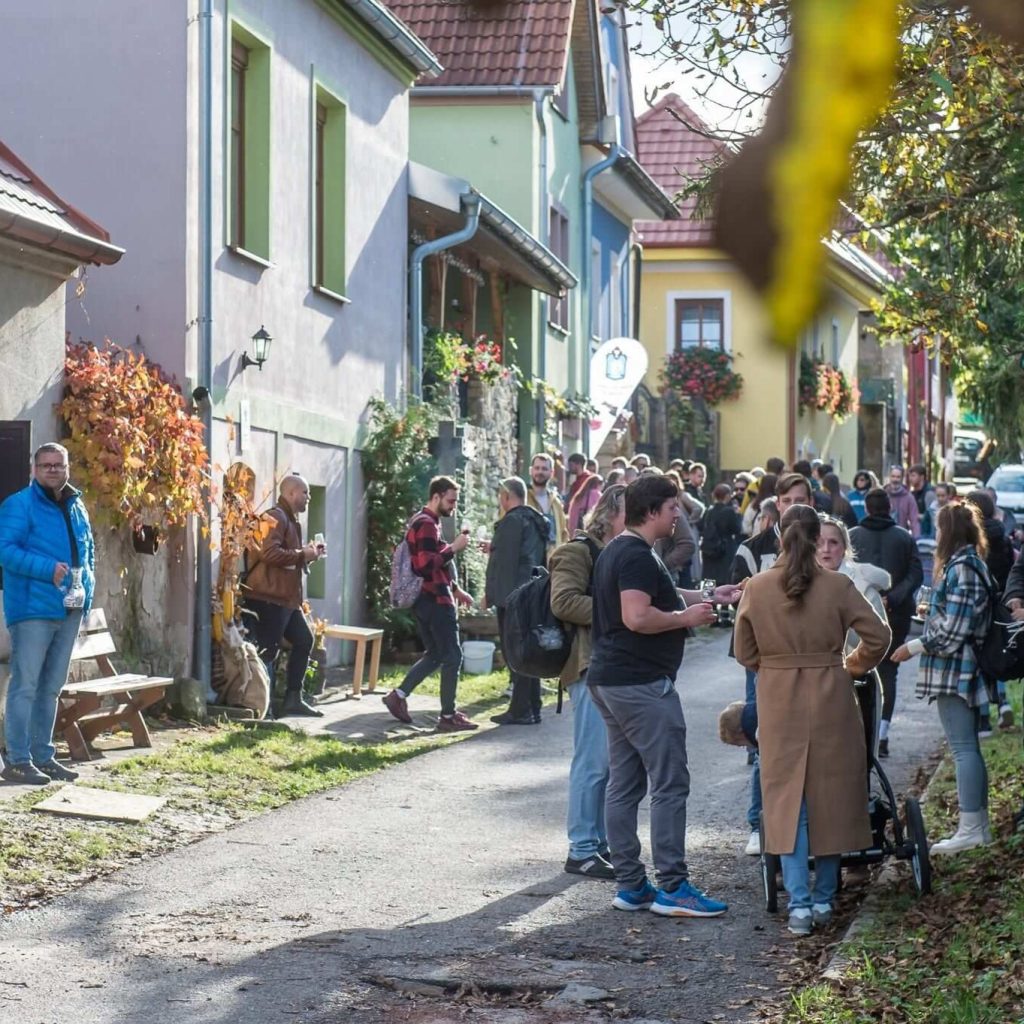 Wine Harvest Festival & Bratislava City Break