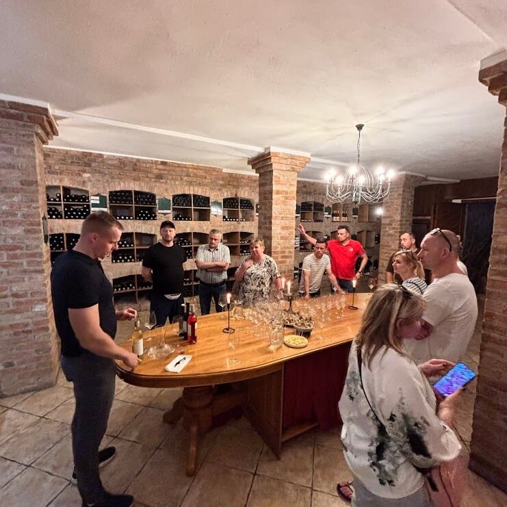 Group enjoying private wine tasting in traditional Slovak cellar