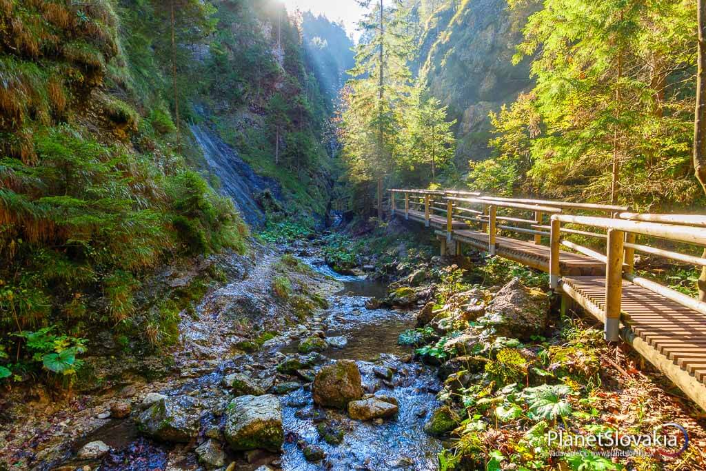 Slovakia Summer School Tour — photo 4