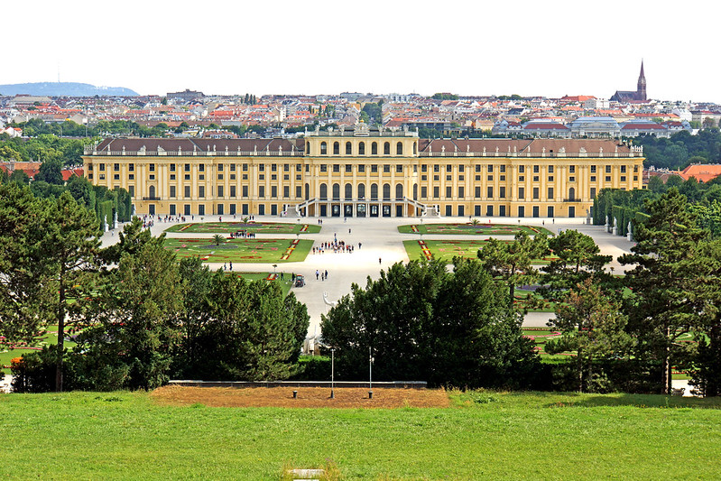 Vienna Melody — photo 4