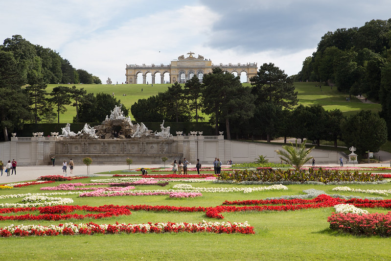 Vienna Melody — photo 5