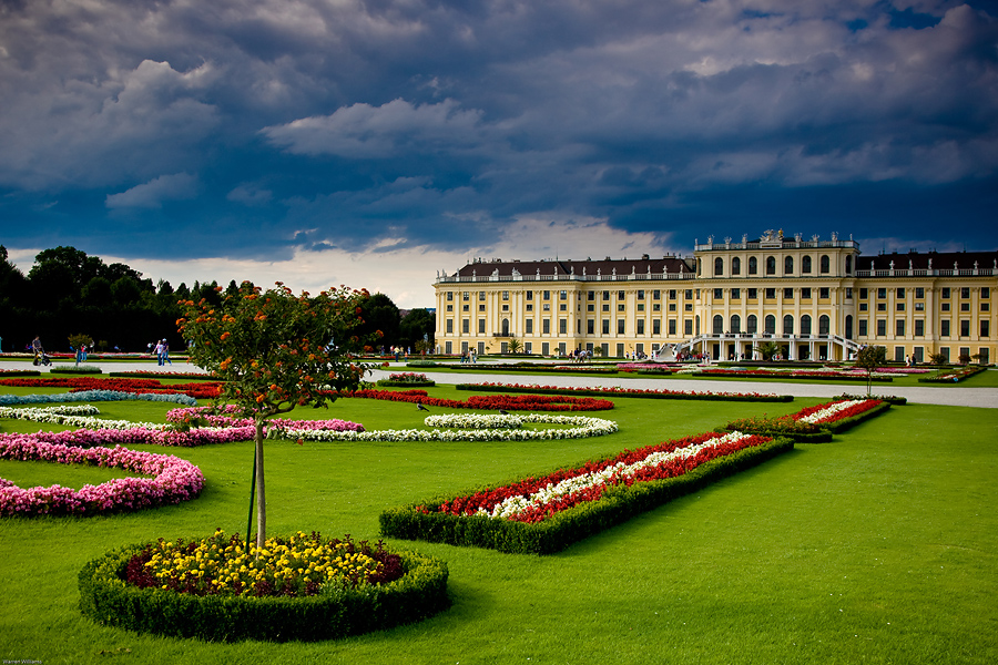Vienna Melody — photo 3