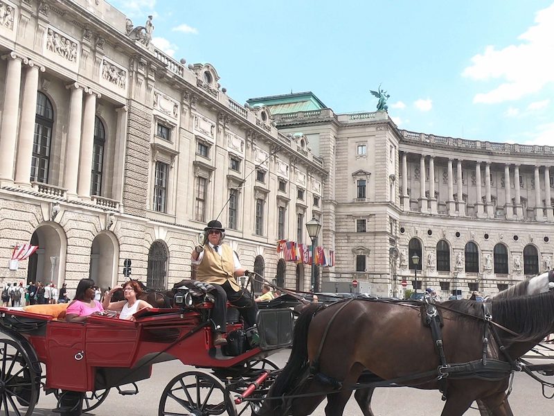 SPA City Break Vienna- SPA Dudince — photo 4