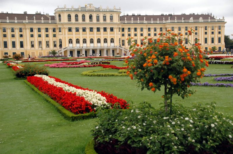 SPA City Break Vienna- SPA Dudince — photo 3