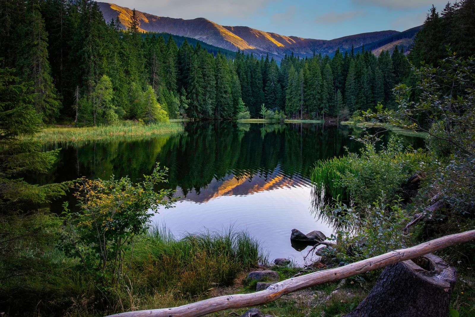 Low Tatras